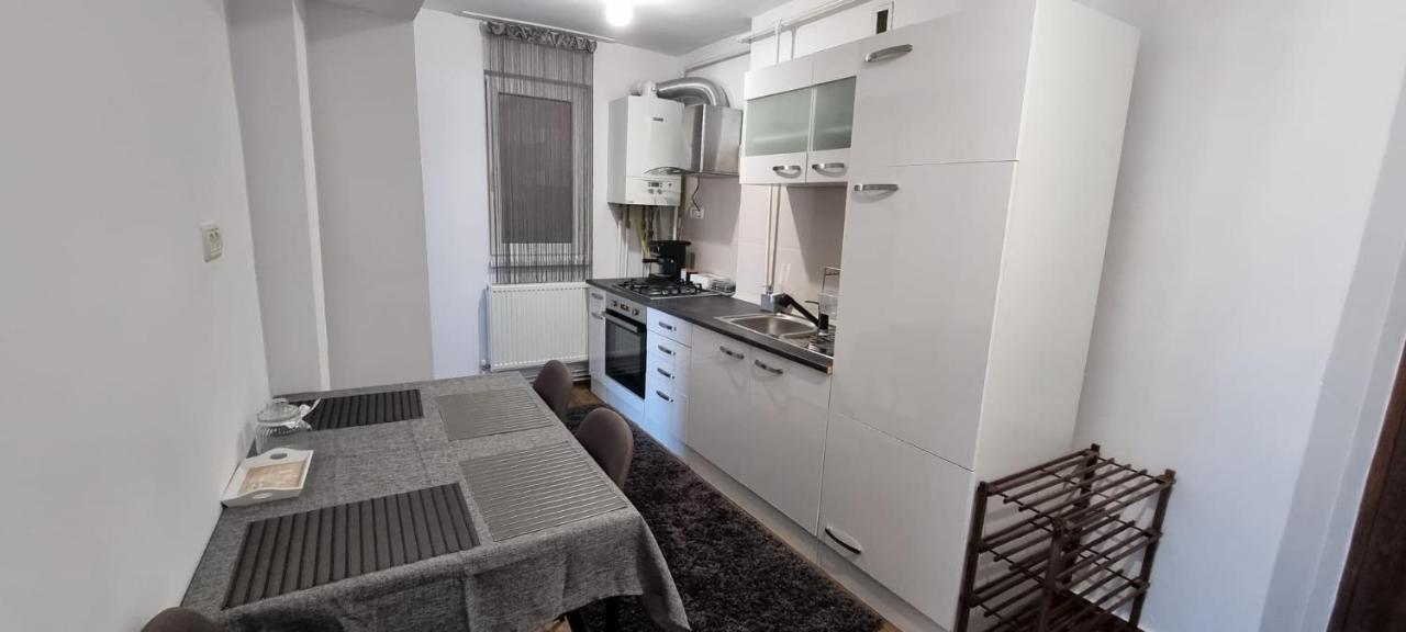 Dacia Apartment ティミショアラ エクステリア 写真