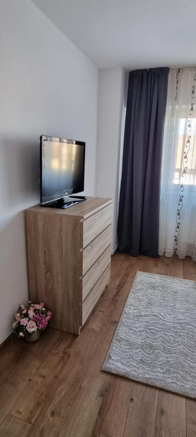 Dacia Apartment ティミショアラ エクステリア 写真