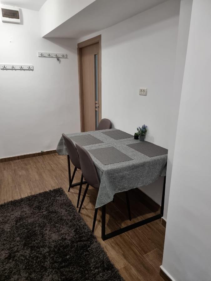 Dacia Apartment ティミショアラ エクステリア 写真