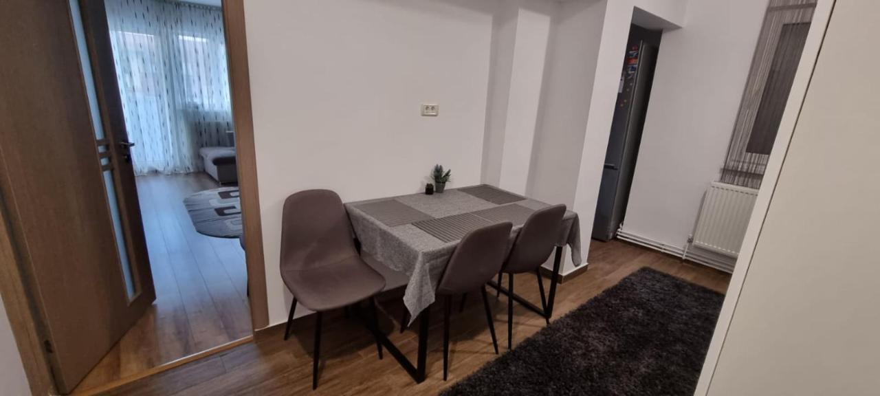 Dacia Apartment ティミショアラ エクステリア 写真