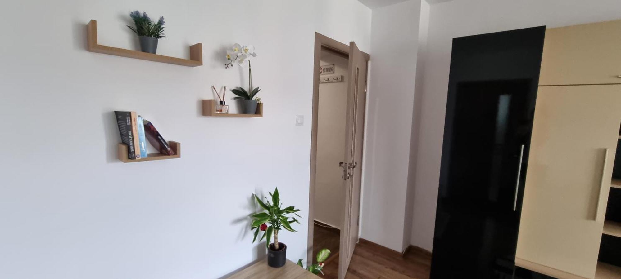 Dacia Apartment ティミショアラ エクステリア 写真