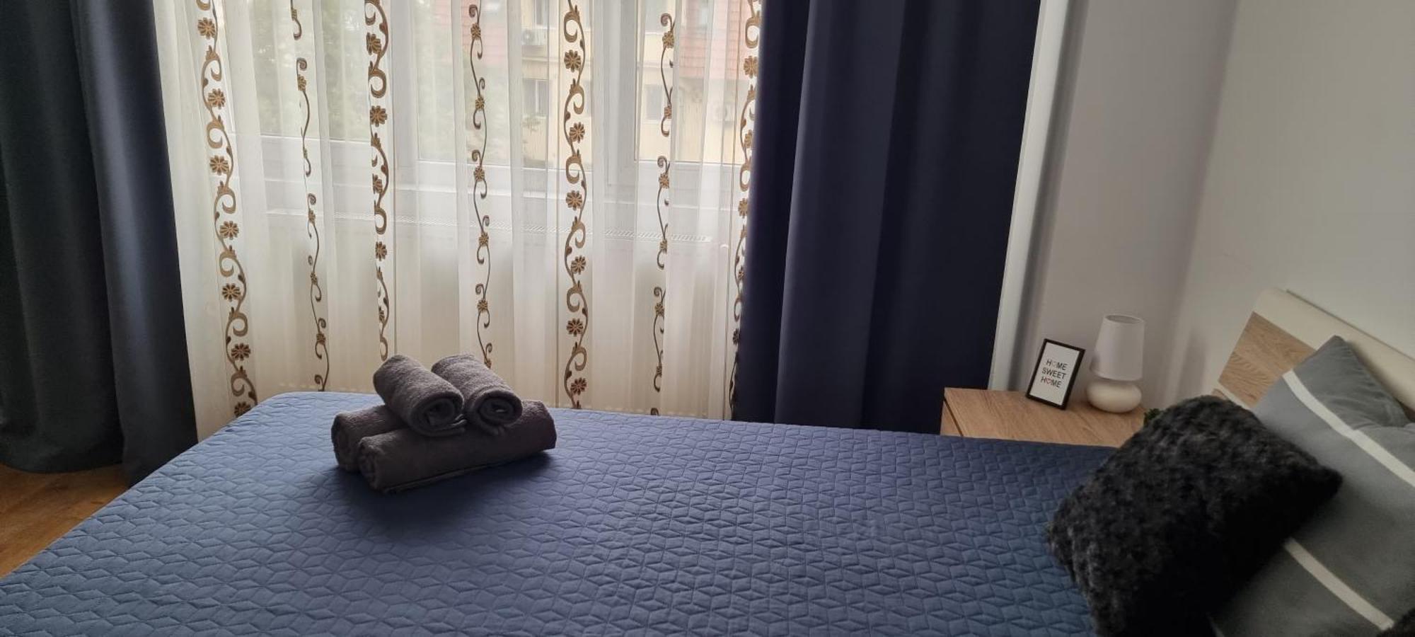 Dacia Apartment ティミショアラ エクステリア 写真